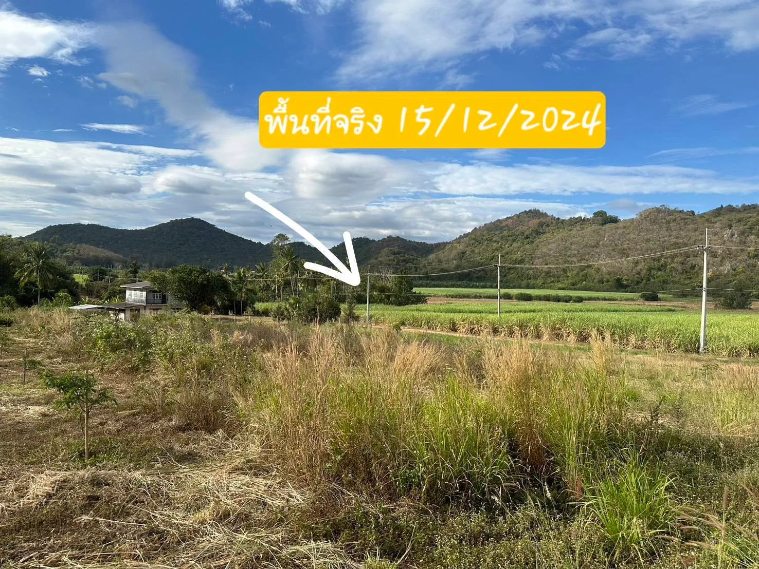 บรรยากาศพรีเมียมในอาณาจักรธรรมชาติส่วนตัว รูปที่ 5